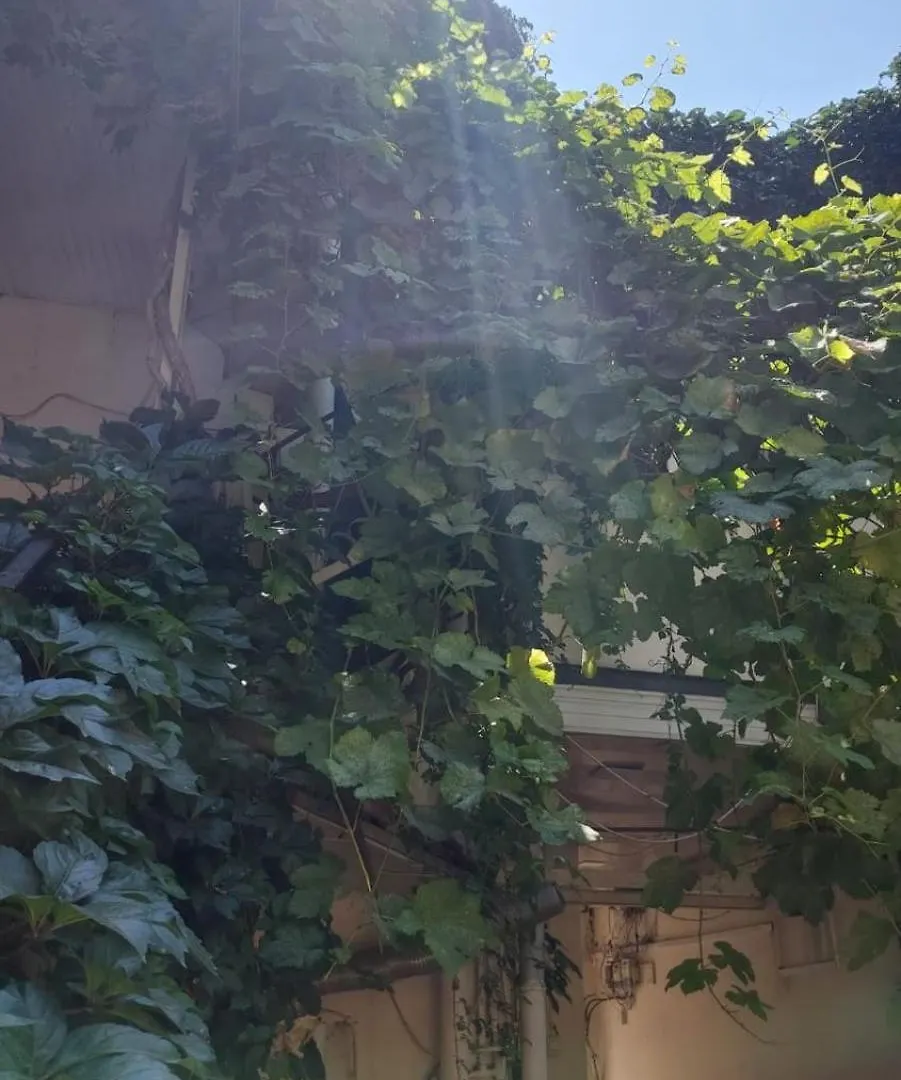 Old Gallery Hostel Baku